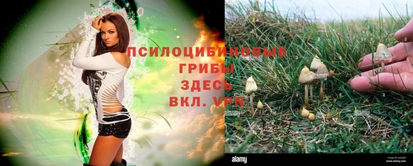 прущий лед Бронницы