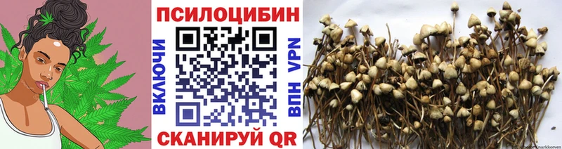 МЕГА как войти  Михайлов  Галлюциногенные грибы GOLDEN TEACHER  где продают  